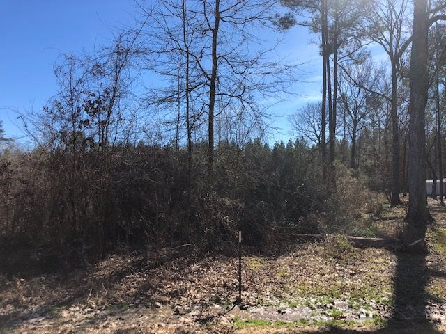 1 River Bend Road, Unit 8 Lena, MS 39094 - Photo 2 of 2 Photo 2