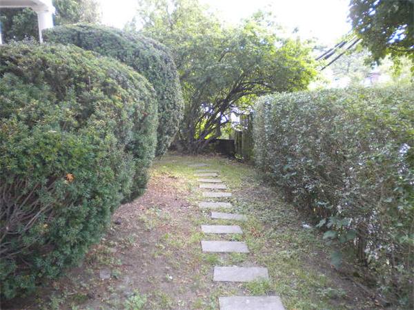38 Fuller Street Brookline, MA 02446 - Photo 27 of 28 a pathway of a yard
