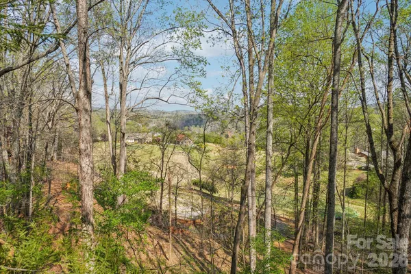 $269,000 | 409 Whitney Boulevard, Lake Lure, NC 28746