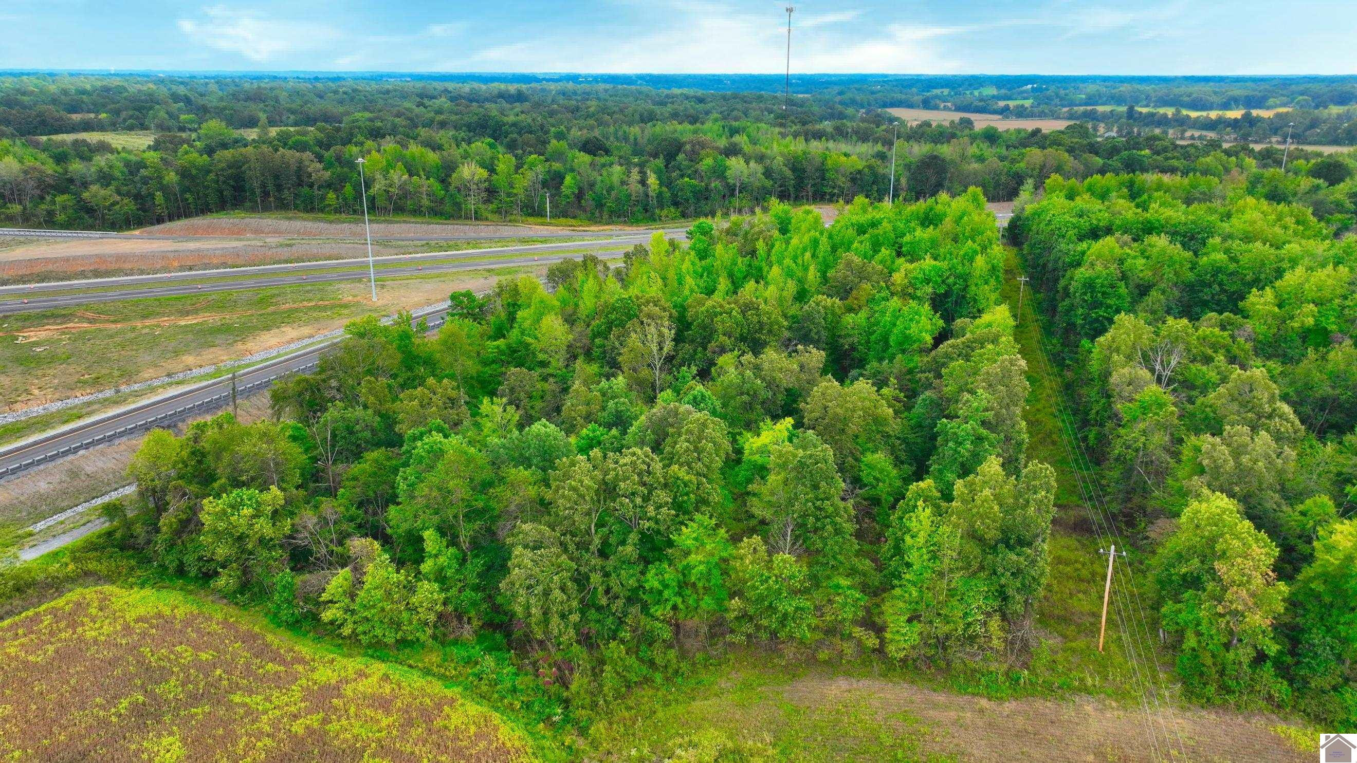 0 Purchase Pkwy Frontage Road Wingo, KY 42088 - Photo 4 of 14 Photo 4