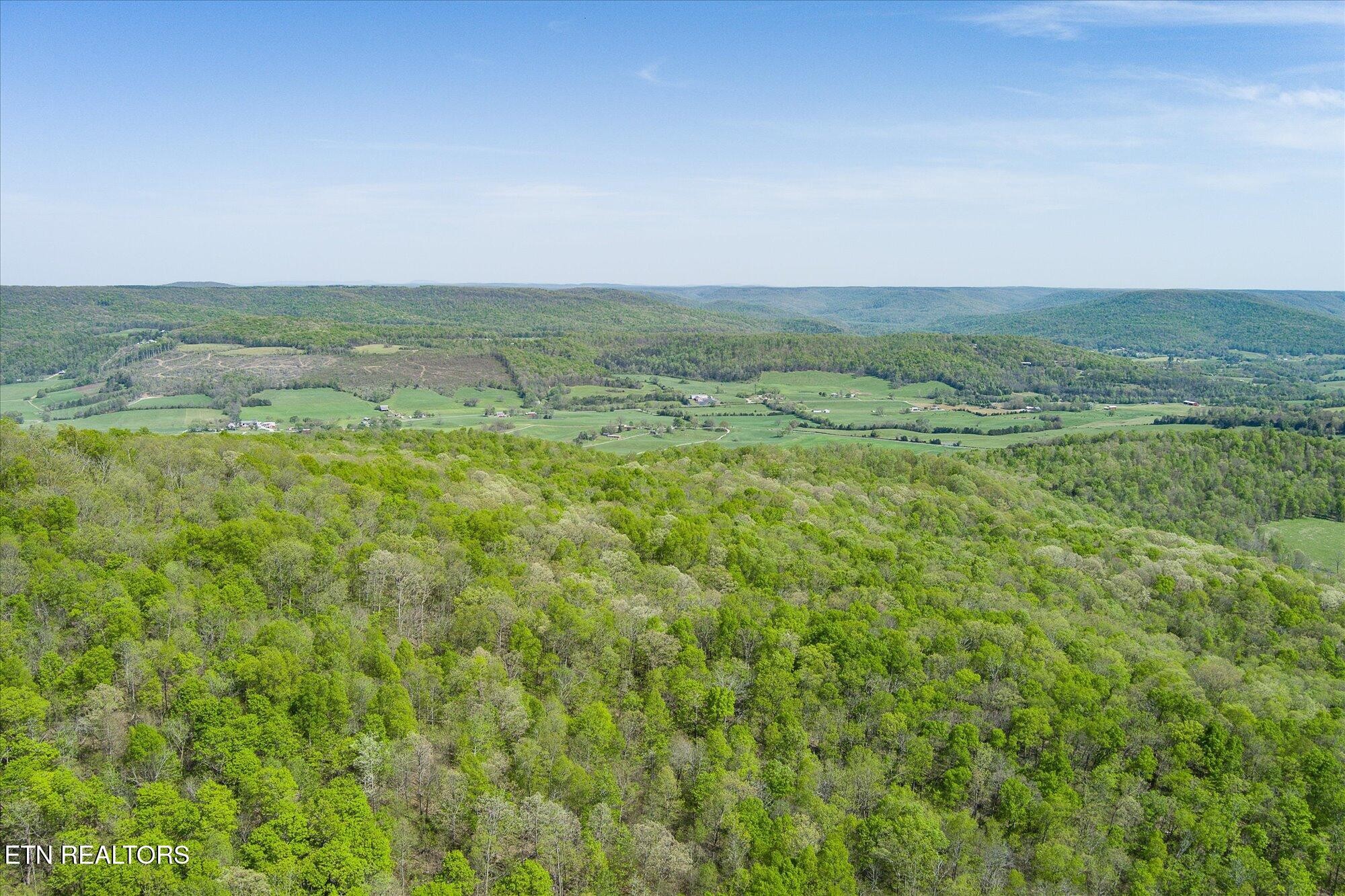 0 Fire Tower 12.2 Ac Road Sparta, TN 38583 - Photo 5 of 10 Gallery Image 5