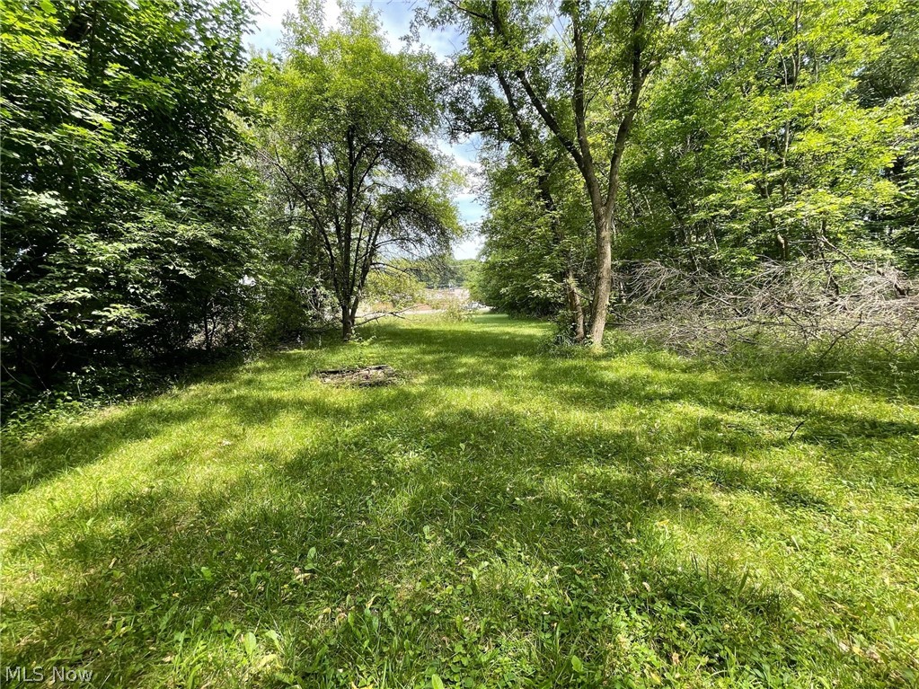 Massillon Road Akron, OH 44312 - Photo 6 of 8 View