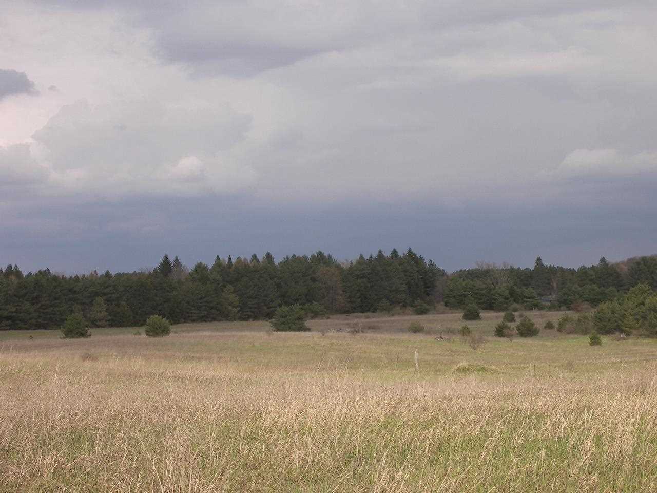12426 South Maple City Road Maple City, MI 49664 - Photo 95 of 98 1889228-94.JPG
