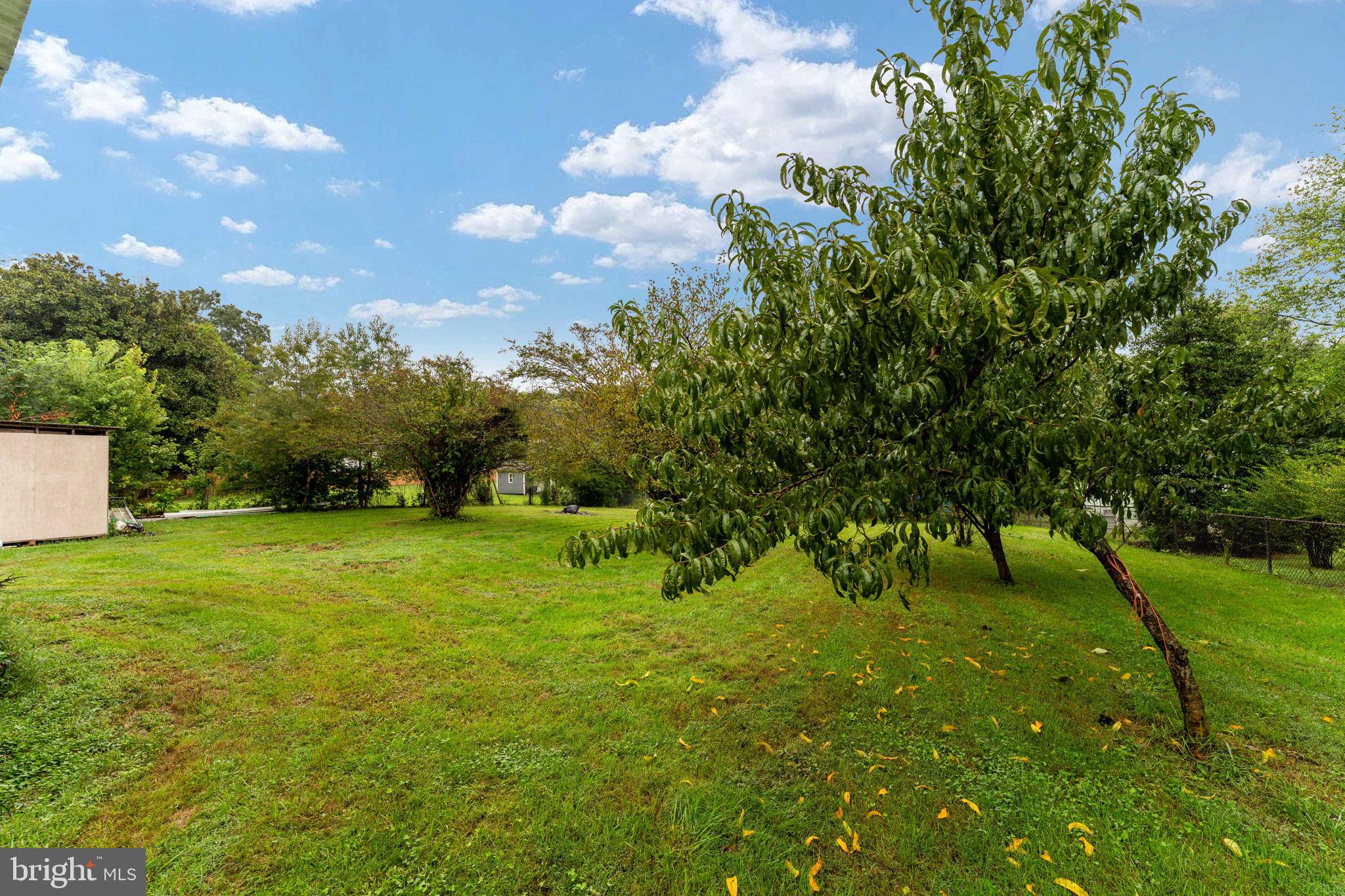 1600 Fords Shop Road Culpeper, VA 22701 - Photo 4 of 12 Gallery Image 4