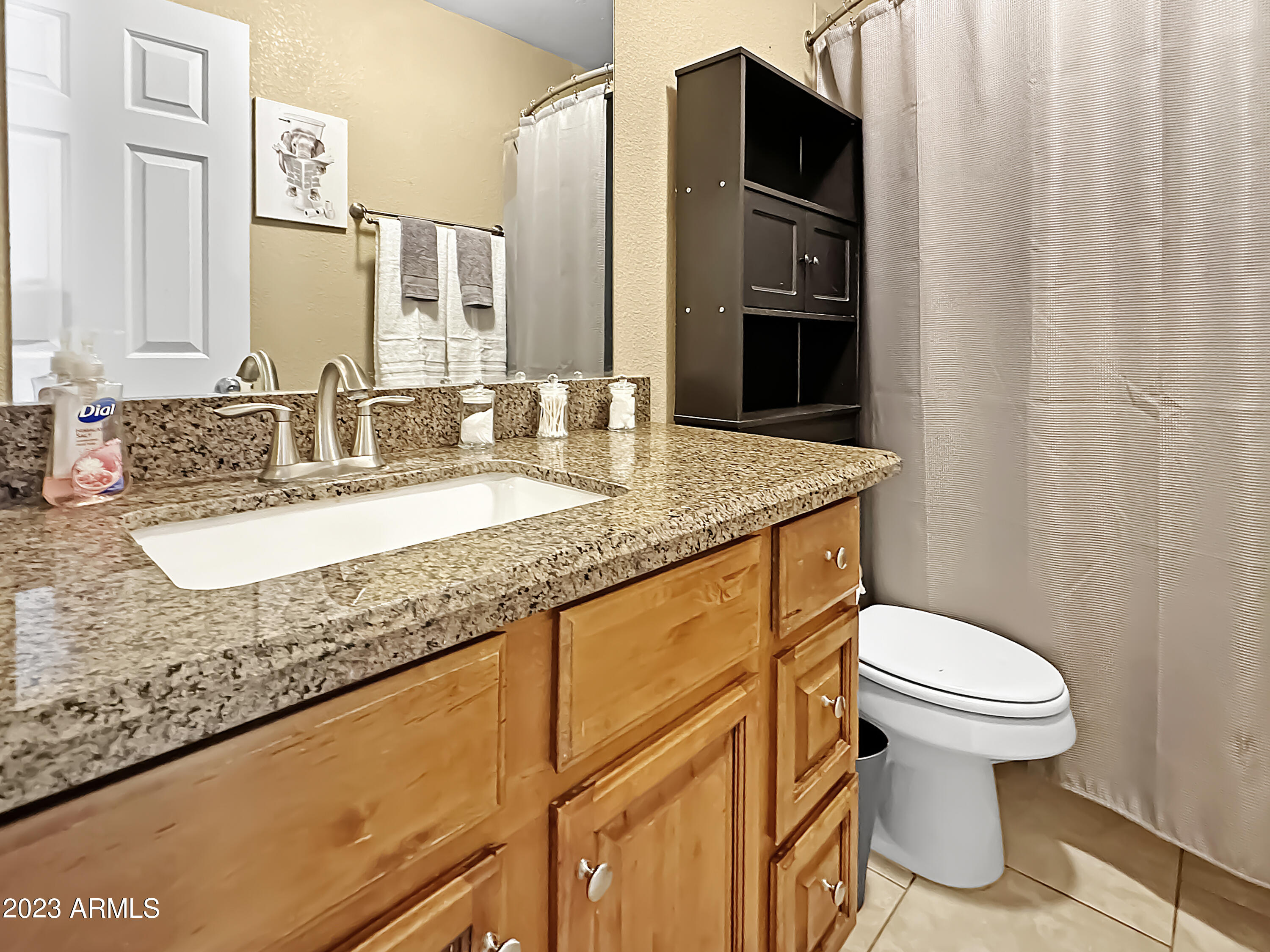 1051 South Dobson Road, Unit 99 Mesa, AZ 85202 - Photo 8 of 9 Master bath
