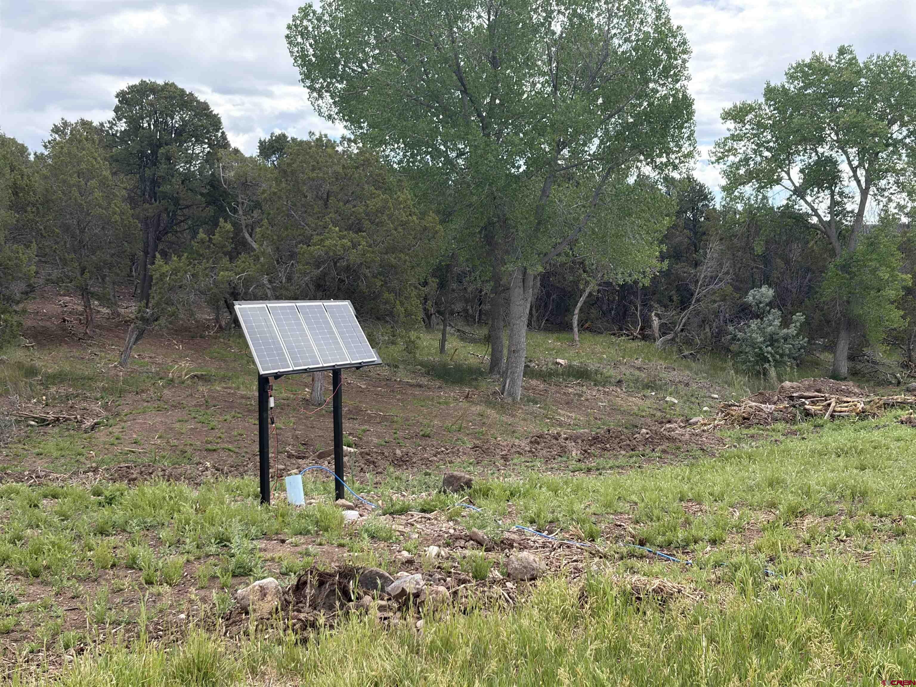 Tbd Cactus Park Road Cedaredge, CO 81413 - Photo 3 of 12