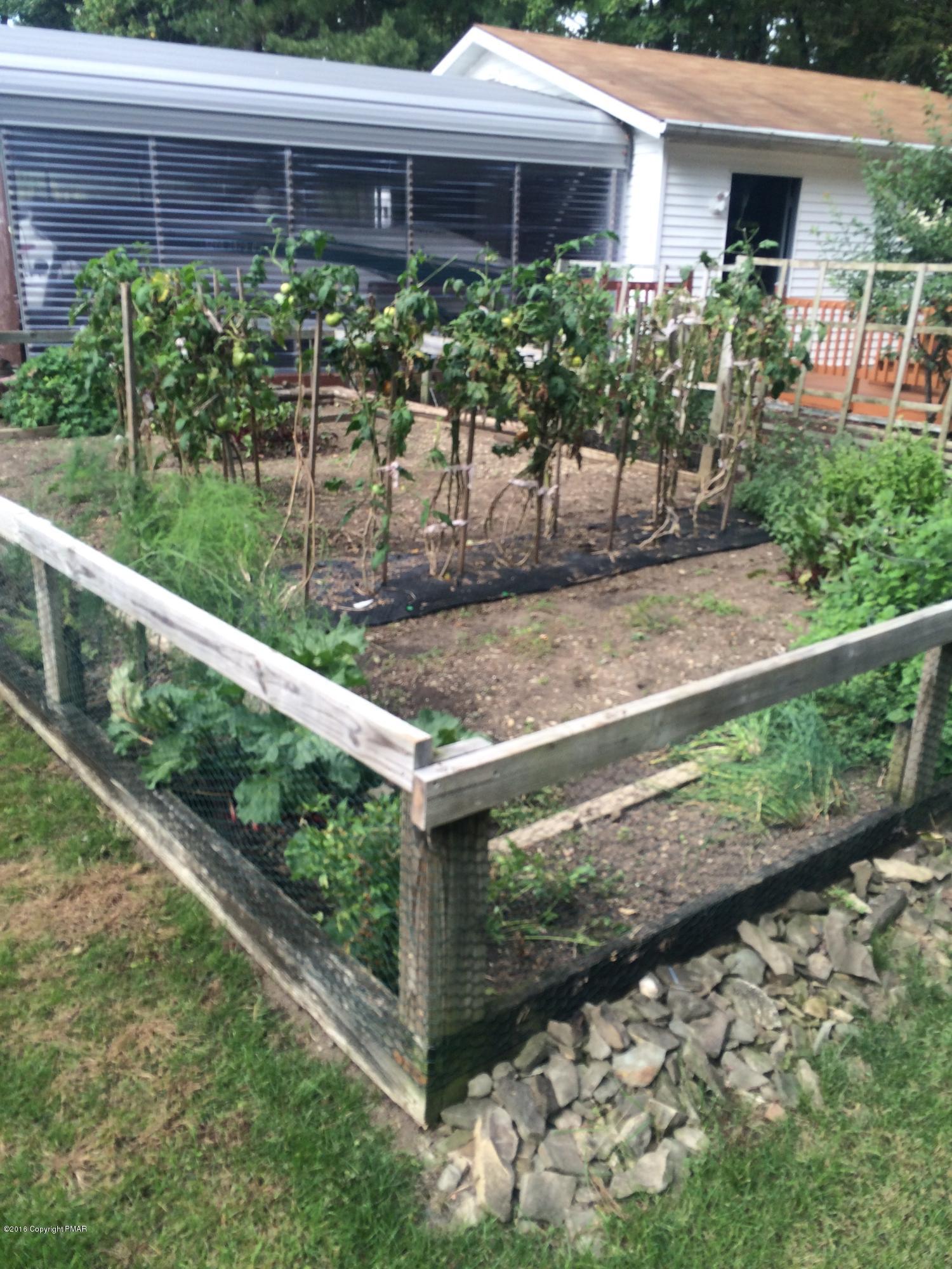 168 Turkey Ridge Kunkletown, PA 18058 - Photo 29 of 33 a view of a backyard with plants
