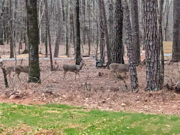 $2,600 | 305 Riverbend Drive, McDonough, GA 30252