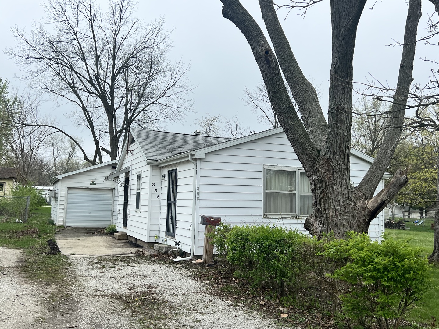 356 East Fulton Street Paxton, IL 60957 - Photo 3 of 25 a view of a house with a large tree and a yard