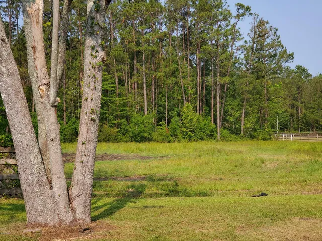 $2,695 | 5919 Sidbury Road, Castle Hayne, NC 28429