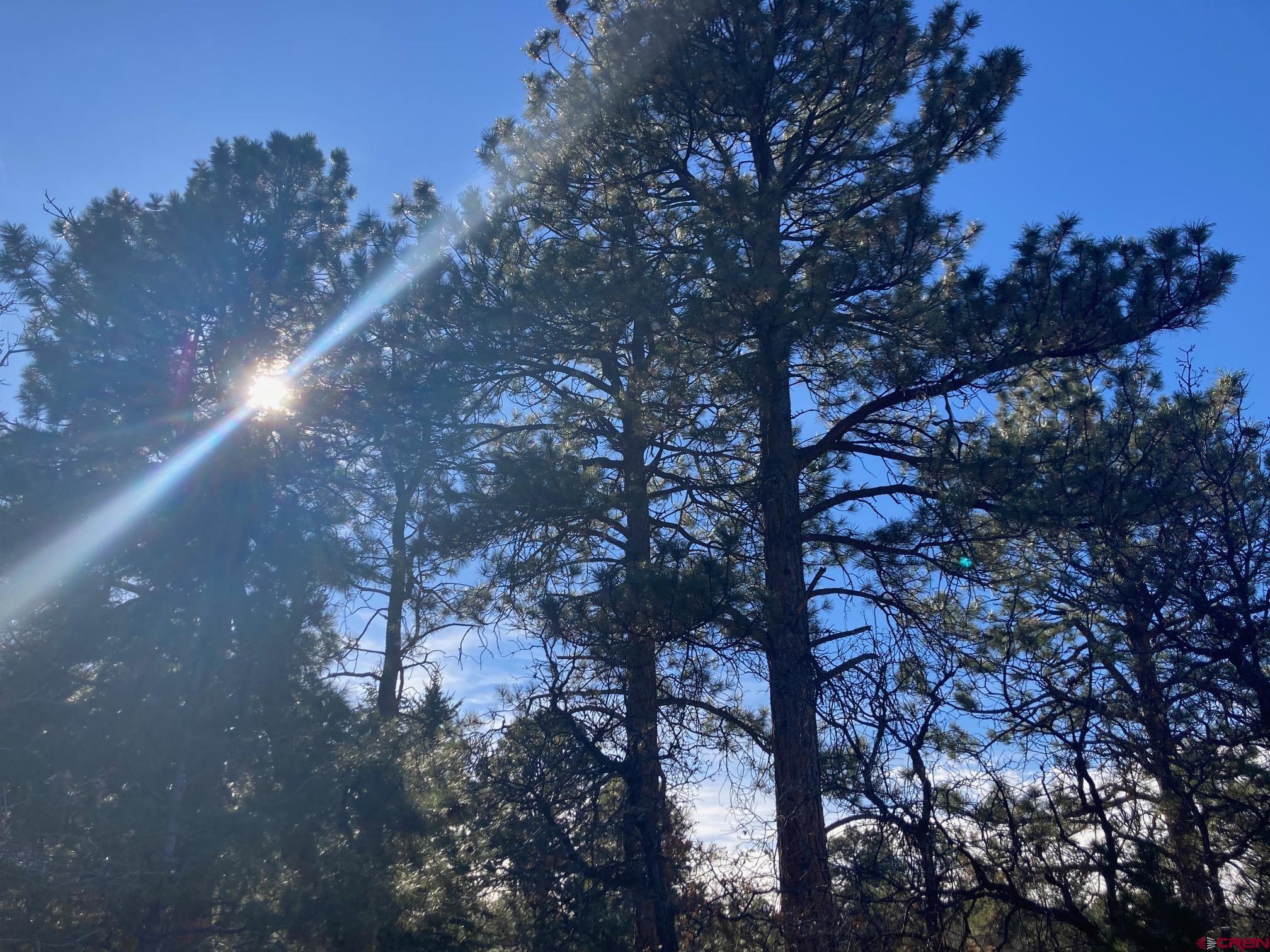 155 Pronghorn Lane Ridgway, CO 81432 - Photo 2 of 13 a view of a city street