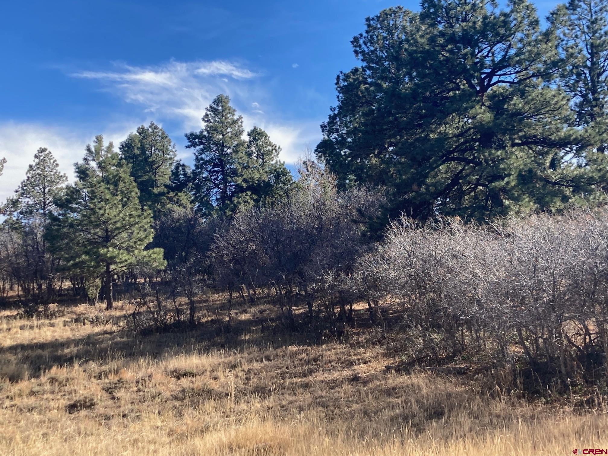 155 Pronghorn Lane Ridgway, CO 81432 - Photo 8 of 13 a view of a lake next to a building