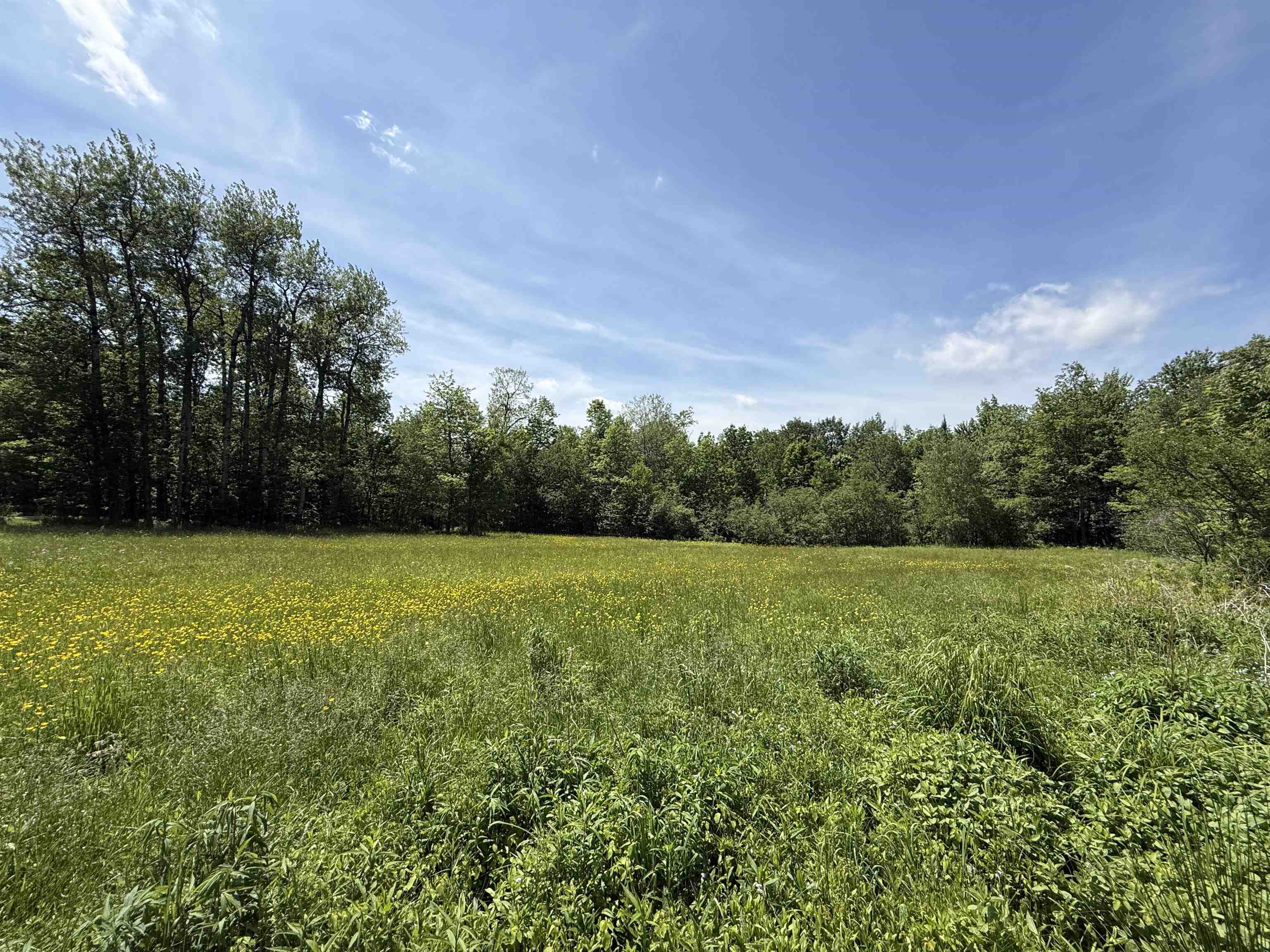 1033 Burrington Hill Road Whitingham, VT 05361 - Photo 48 of 55