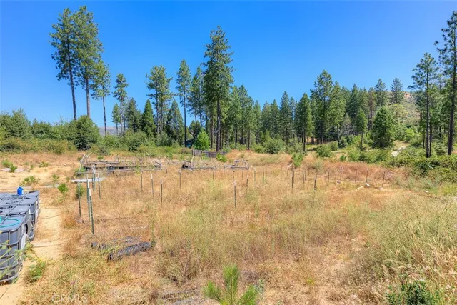 a view of dirt yard with trees