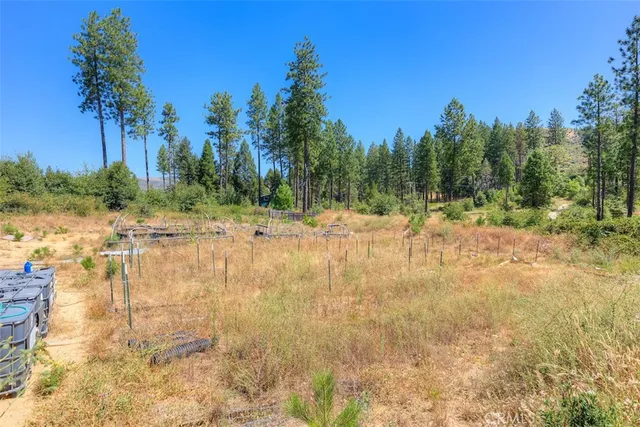 a view of dirt yard with trees