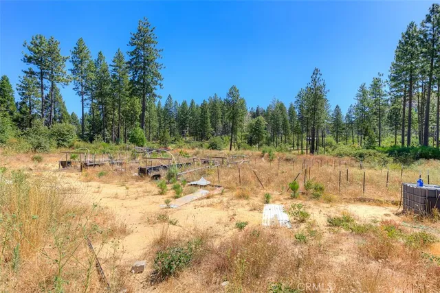 a view of yard with swimming pool and trees