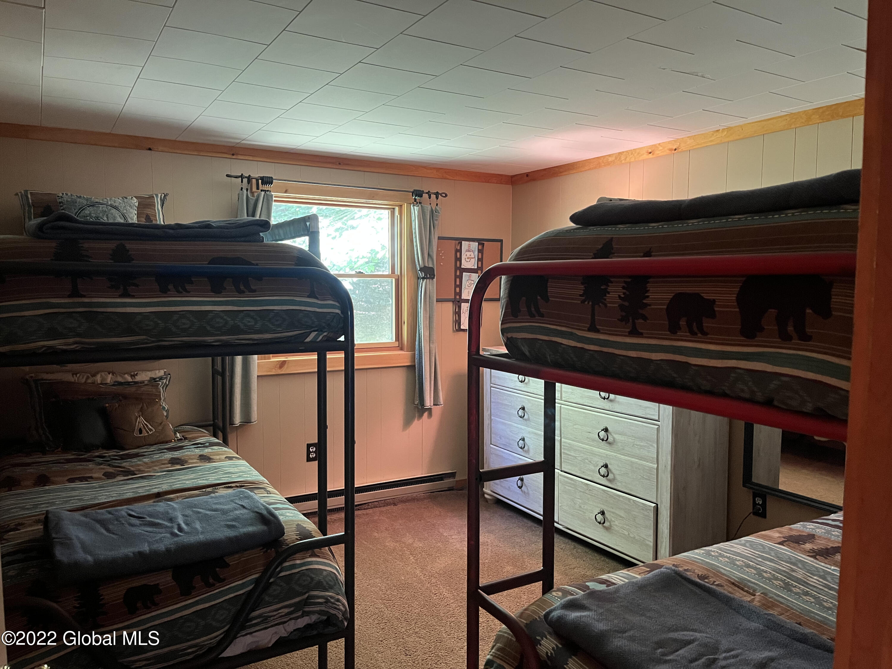 100 Indian Springs Road Chester, NY 12817 - Photo 20 of 23 IMG_1104