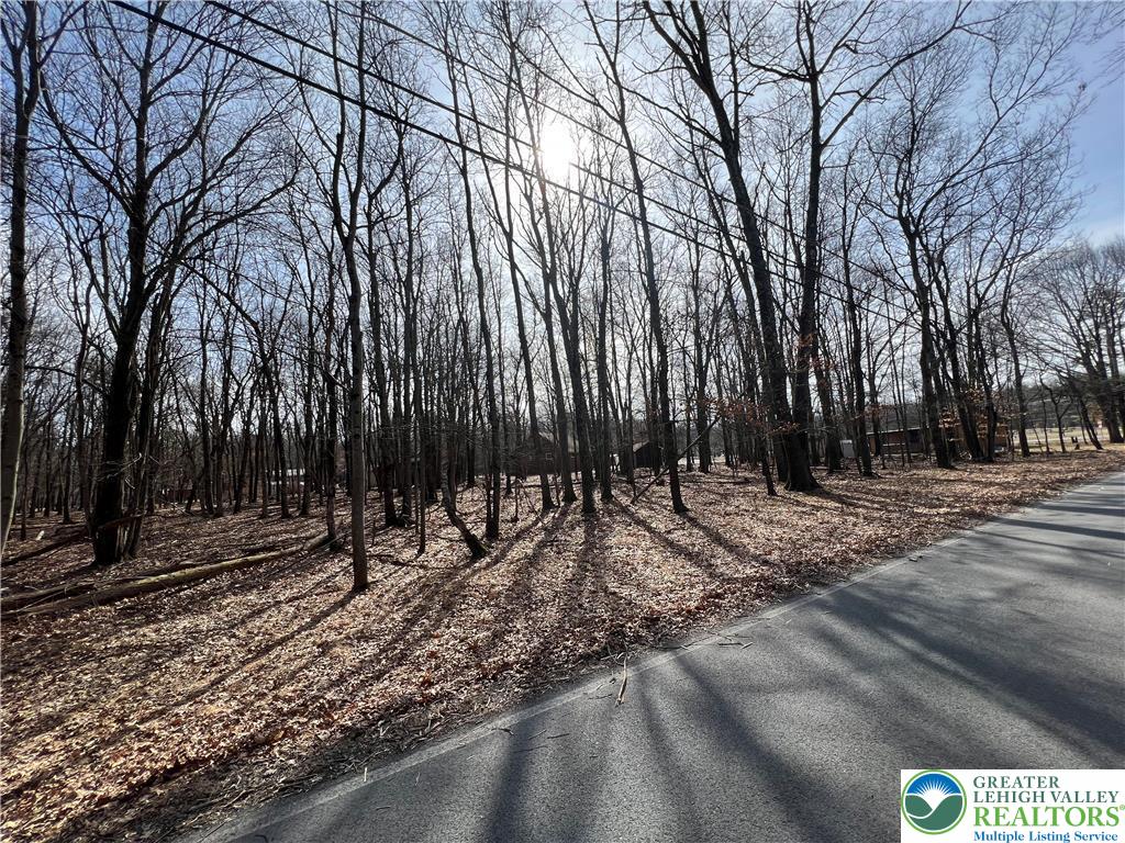 503 Woodland Road Easton, PA 18042 - Photo 2 of 2 a view of a backyard with large trees