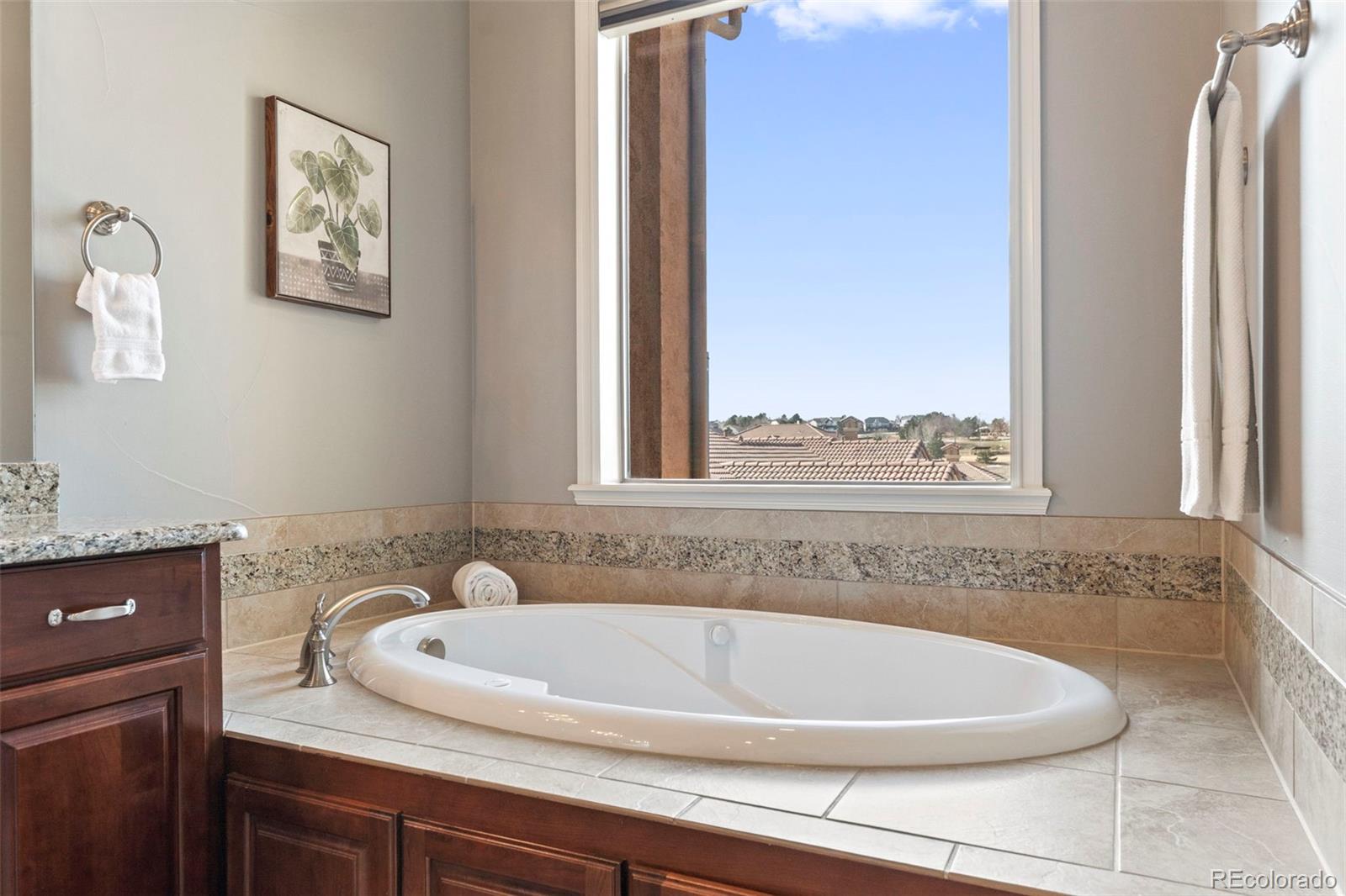 9168 Viaggio Way Highlands Ranch, CO 80126 - Photo 24 of 47 Gallery Image 24