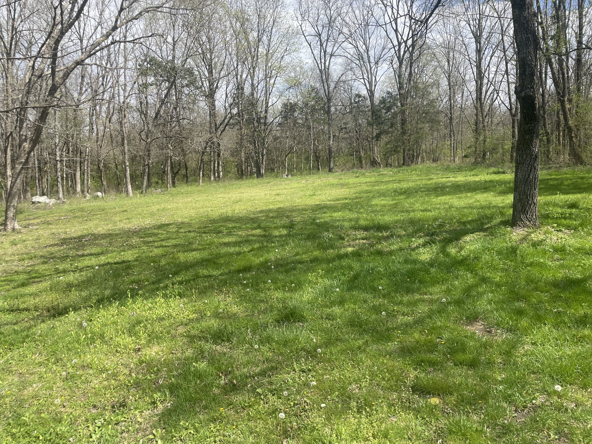 1305 Webb Road Lewisburg, TN 37091 - Photo 5 of 11 Gallery Image 5