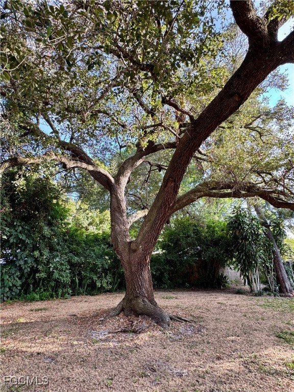 1640 Marlyn Road Fort Myers, FL 33901 - Photo 43 of 48 a view of a tree in front of a house