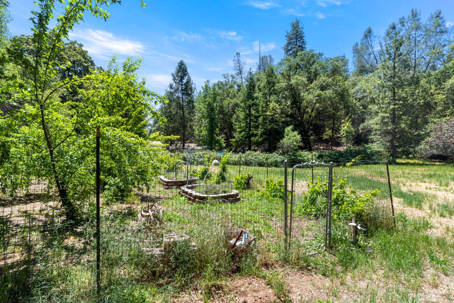 1144 Boole Road Applegate, CA 95703 - Photo 63 of 74