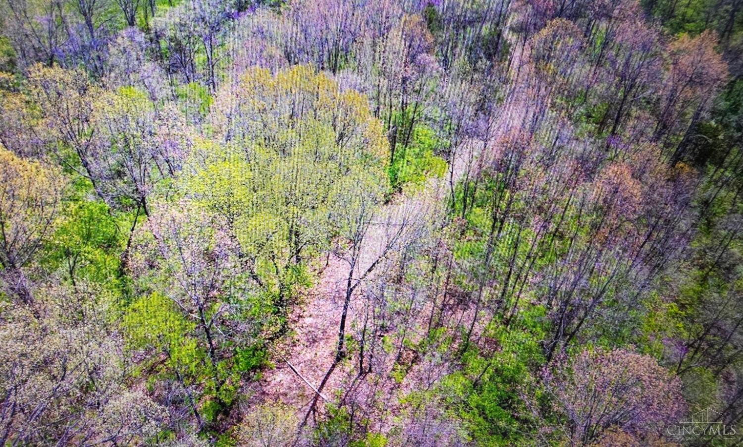 0 Carolina Trace Road Harrison, OH 45030 - Photo 3 of 7