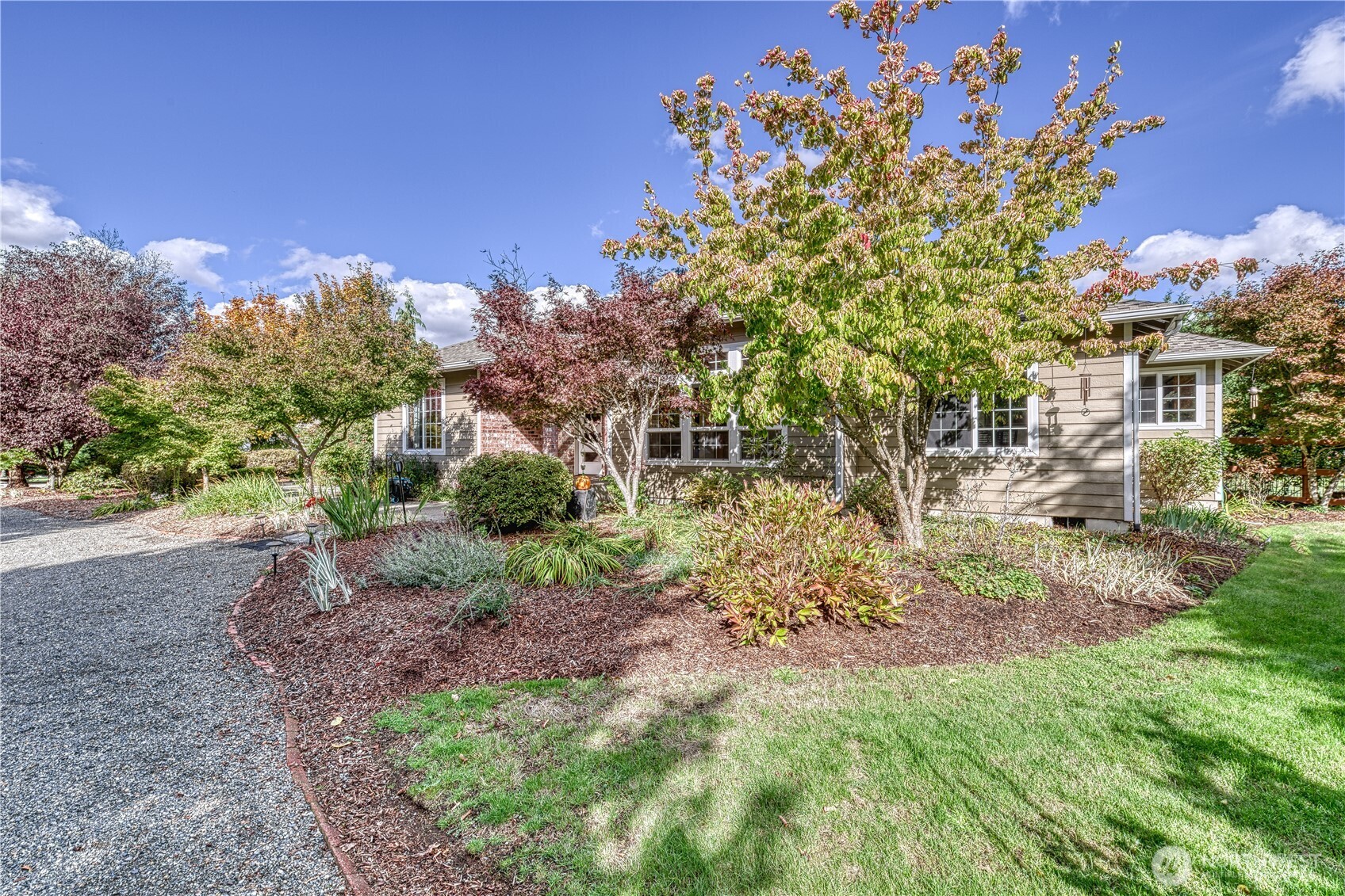 9705 346th Street South Roy, WA 98580 - Photo 31 of 34 a view of a backyard with a tree