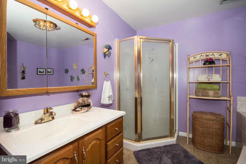 1929 Wilson Point Road Baltimore, MD 21220 - Photo 24 of 30 a bathroom with a sink vanity and a mirror