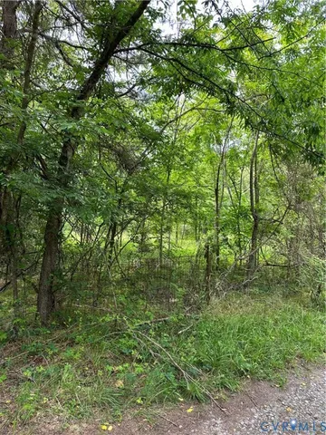 a big yard with lots of green space and a forest