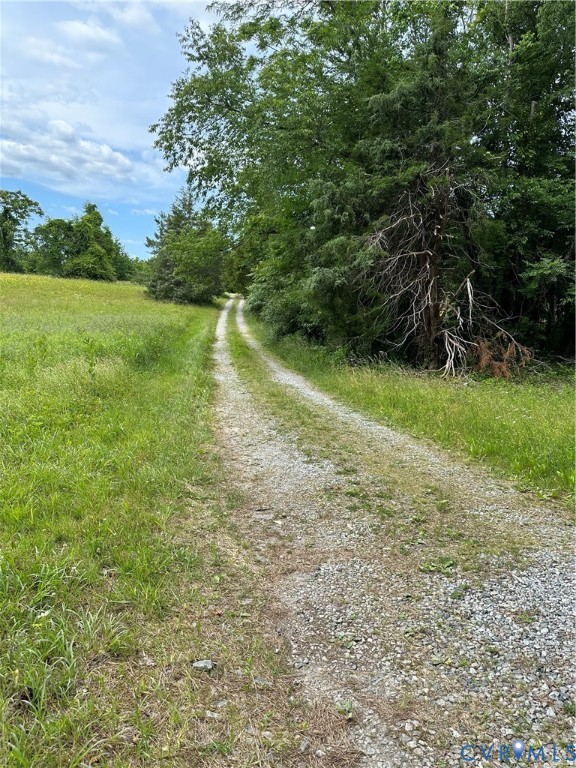 0 Jonesboro Church Road Blackstone, VA 23824 - Photo 3 of 13 a view of a yard with plants and large trees