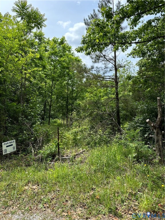 0 Jonesboro Church Road Blackstone, VA 23824 - Photo 6 of 13 a view of a garden