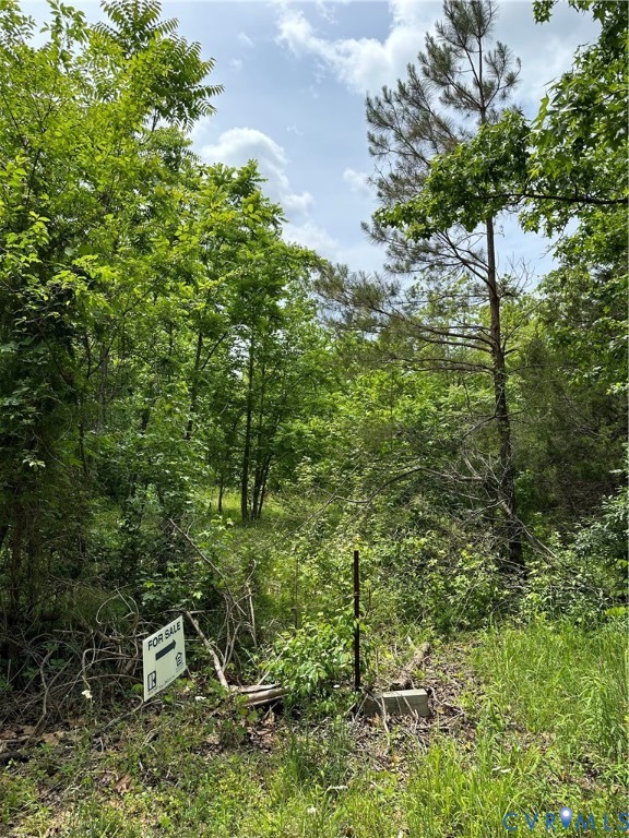 0 Jonesboro Church Road Blackstone, VA 23824 - Photo 7 of 13 a plant view with a garden