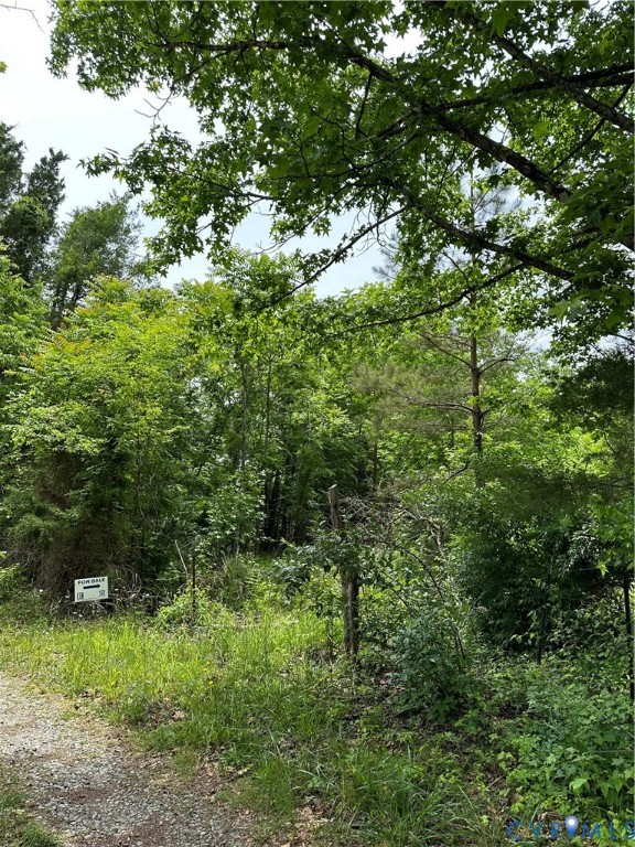 0 Jonesboro Church Road Blackstone, VA 23824 - Photo 8 of 13 a view of a lush green forest