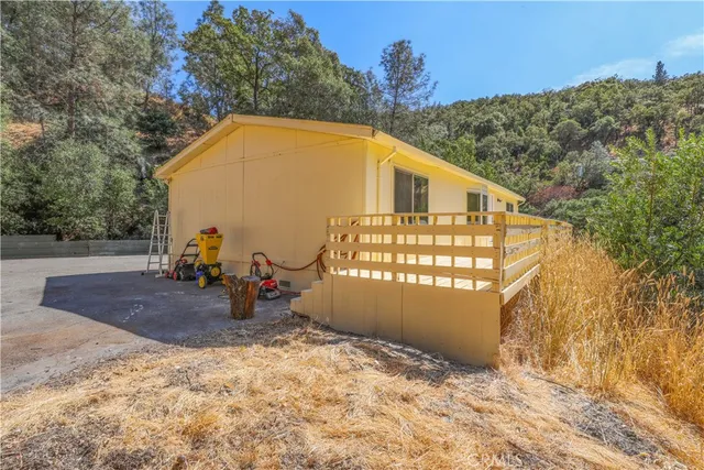a view of backyard with large tree