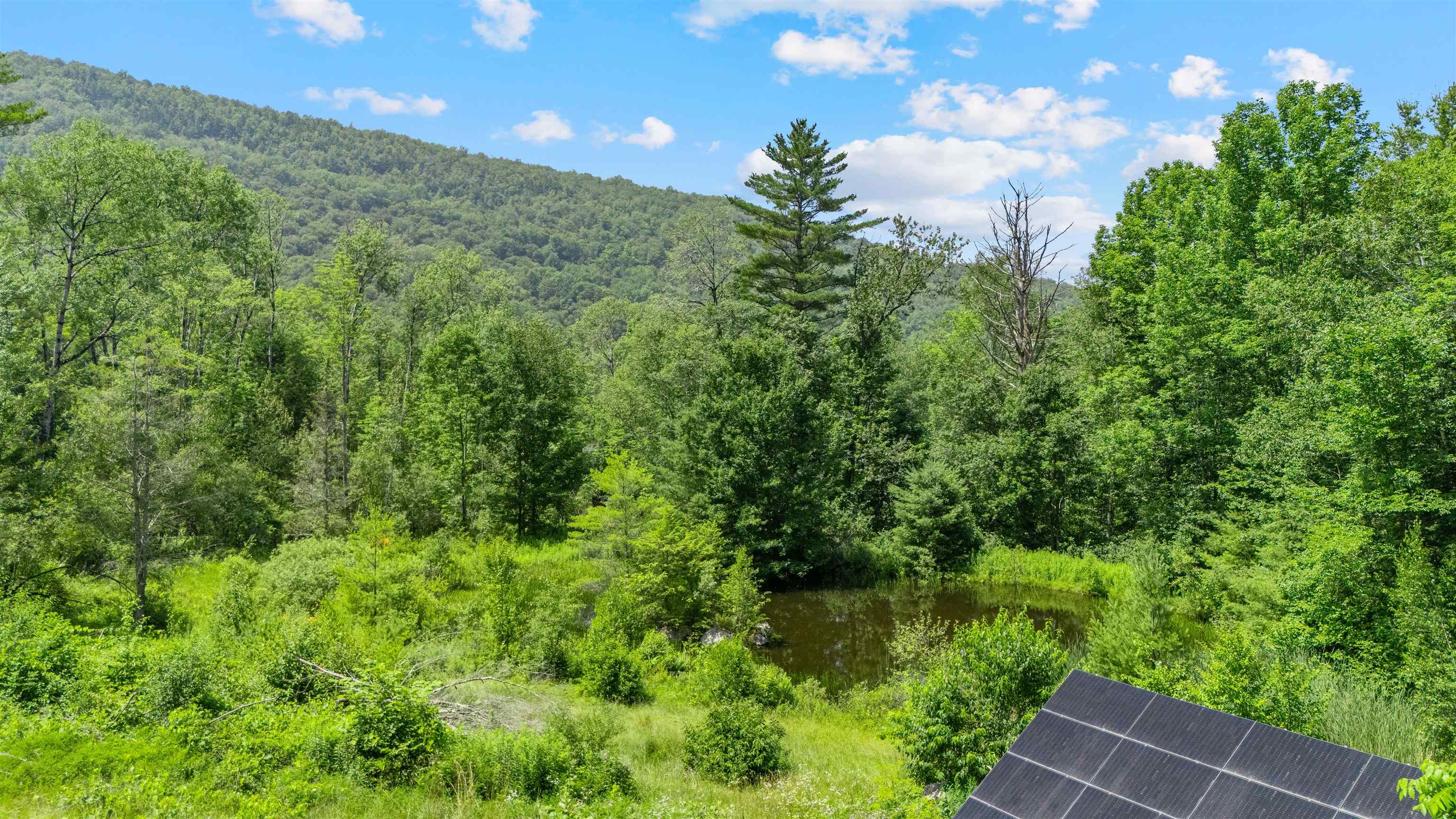 1307 Upper Notch Road Bristol, VT 05443 - Photo 54 of 59 Gallery Image 54