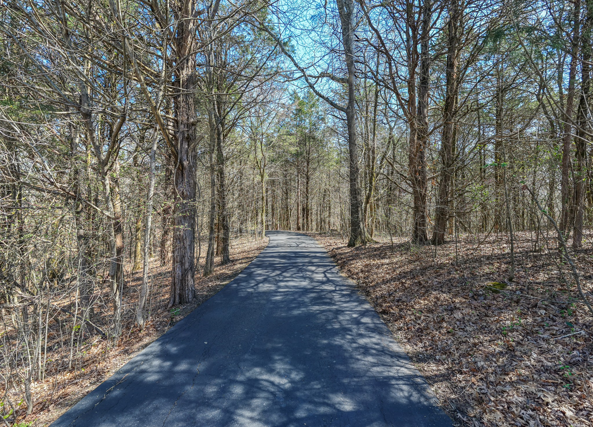 2082 Canoe Branch Road Lebanon, TN 37087 - Photo 5 of 92