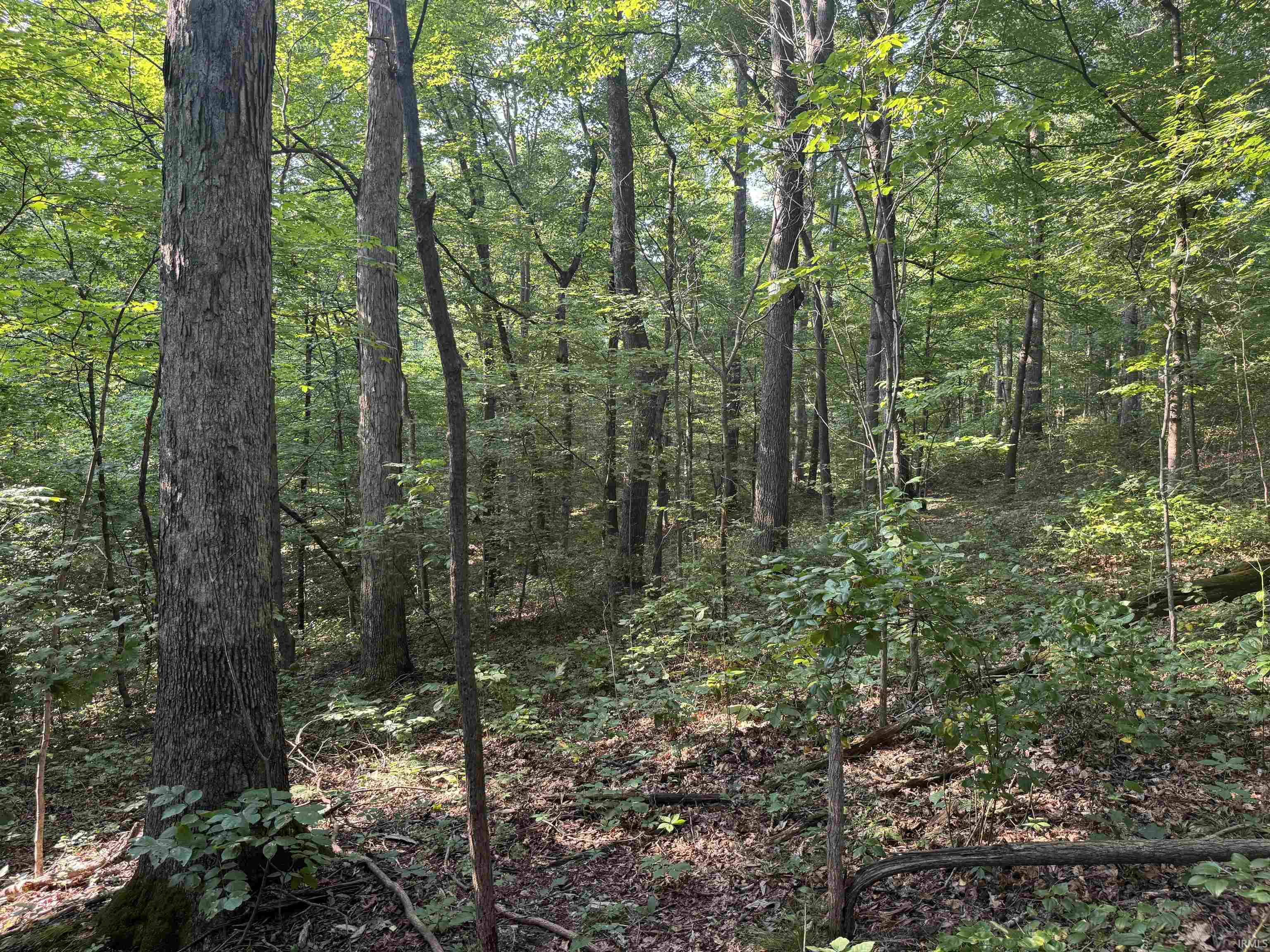 Brushy Fork Road Tell City, IN 47586 - Photo 28 of 47 Gallery Image 28