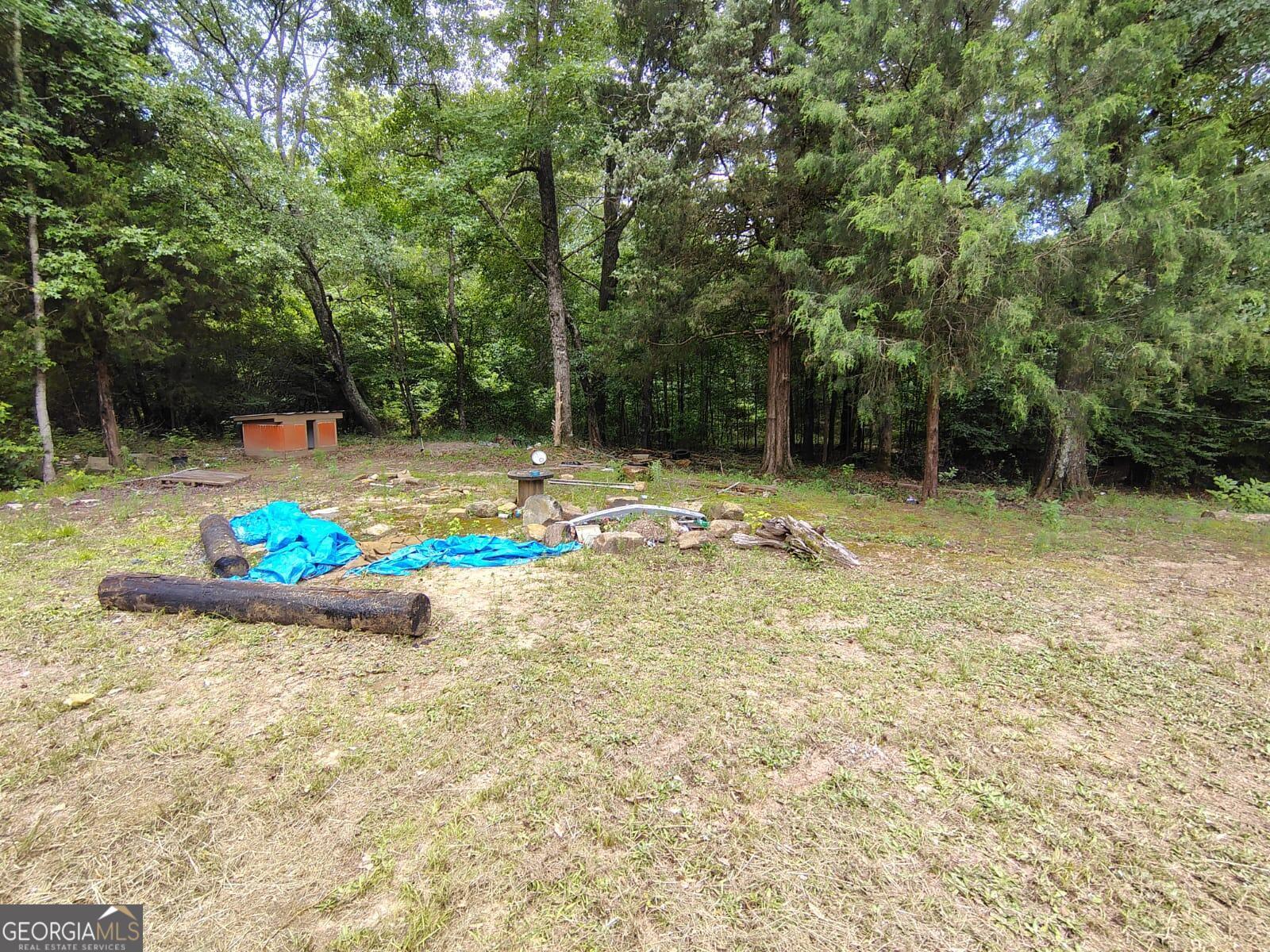 5576 Po Biddy Road Talbotton, GA 31827 - Photo 24 of 28 a view of a backyard with swimming pool