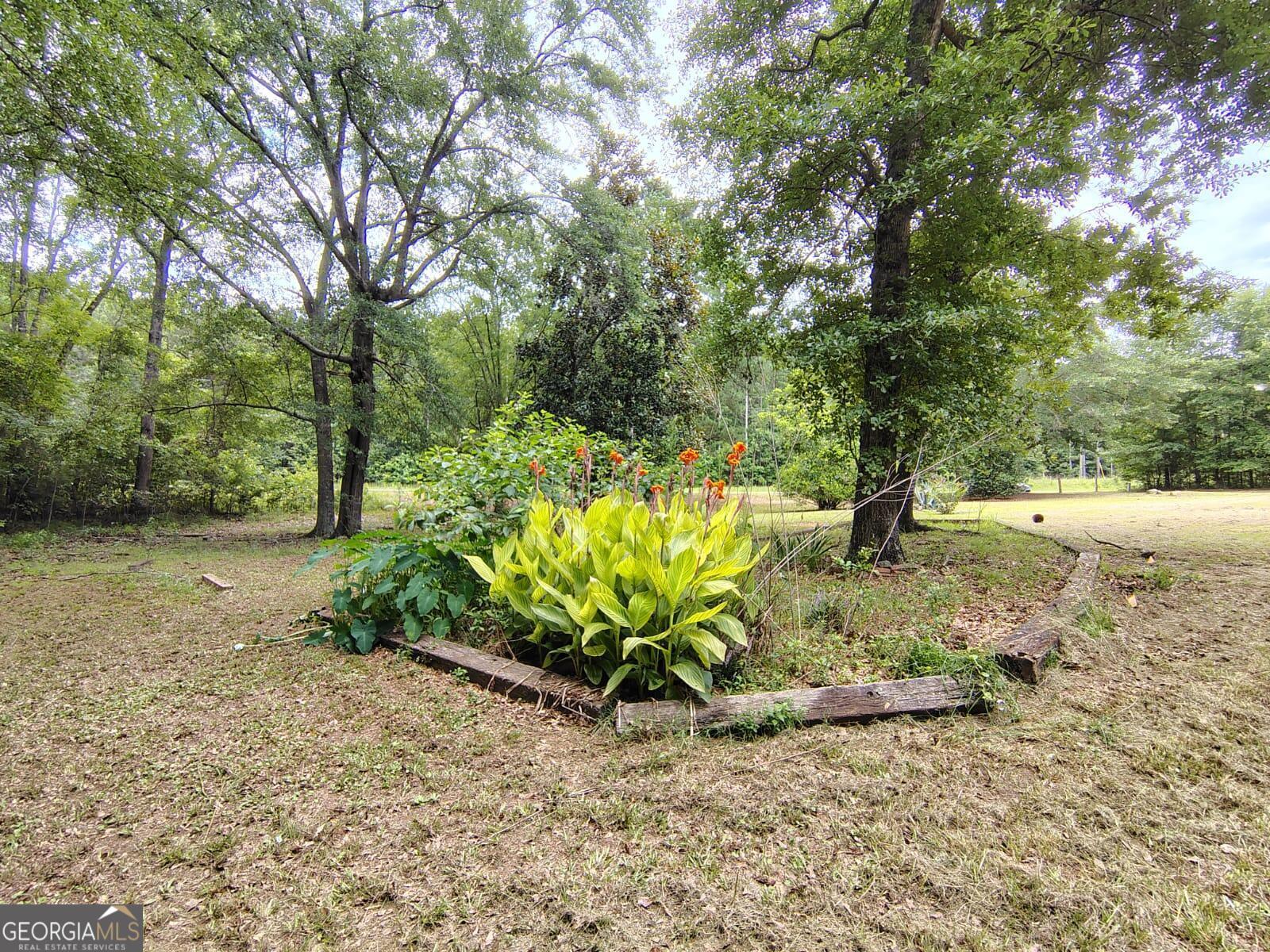 5576 Po Biddy Road Talbotton, GA 31827 - Photo 27 of 28 a view of a garden with a tree