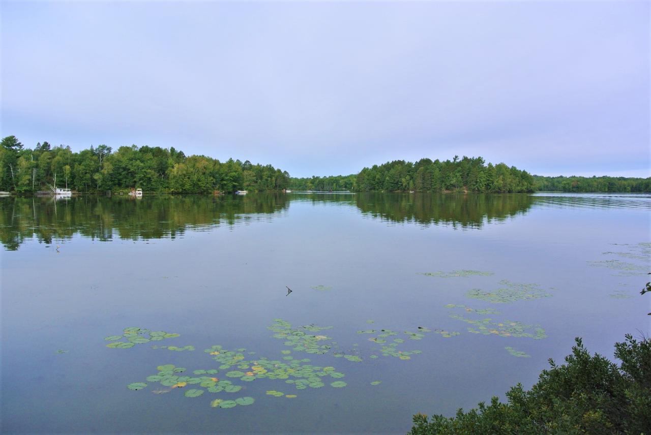 Lot 3 Dombrowski Road Harshaw, WI 54529 - Photo 9 of 13 Gallery Image 9