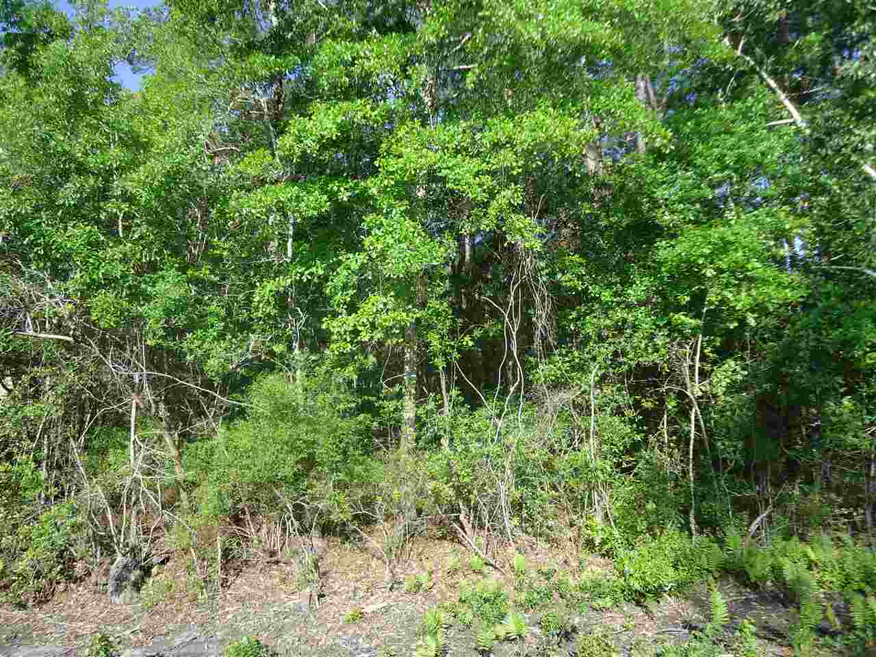 0 Hammock Road Elberta, AL 36530 - Photo 14 of 15