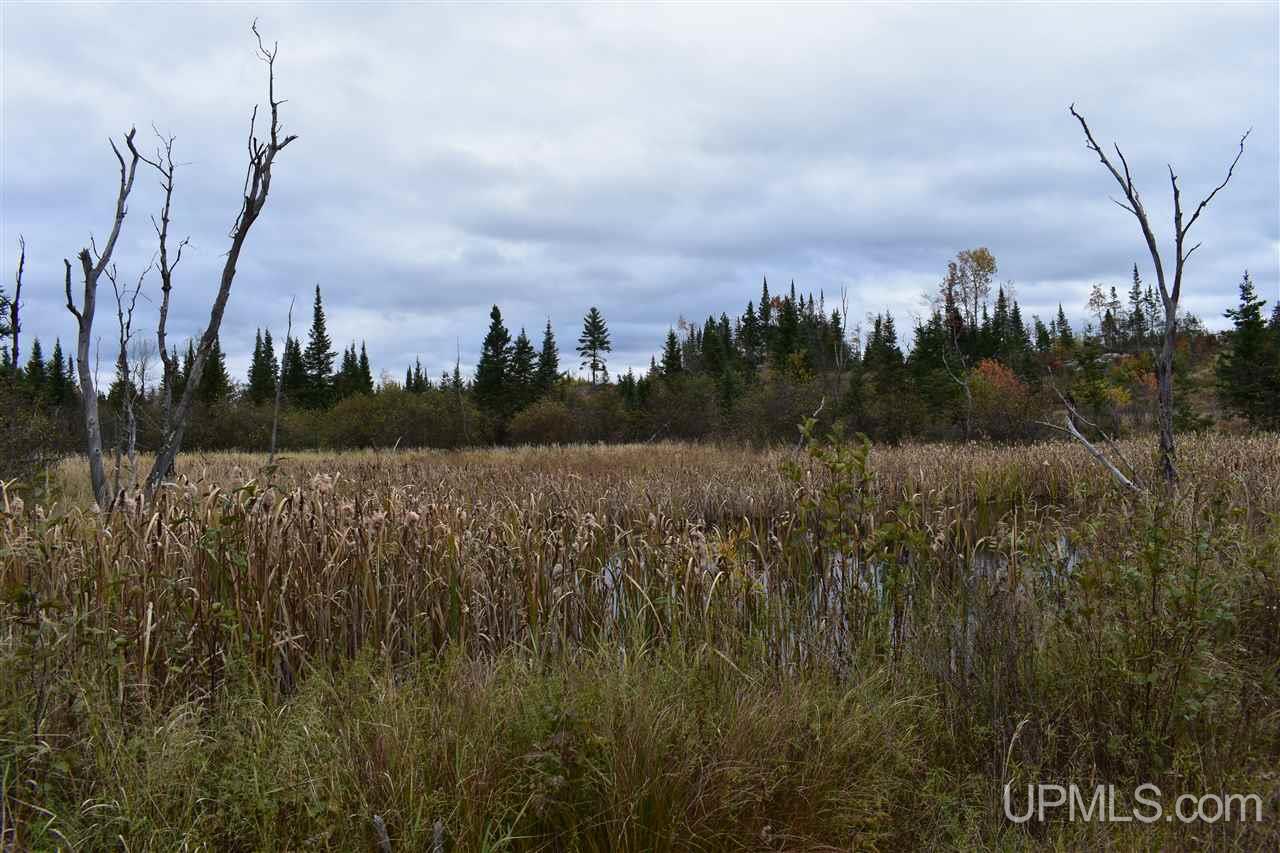 40-acres 40-acres Off Co Road Gwinn, MI 49841 - Photo 3 of 22
