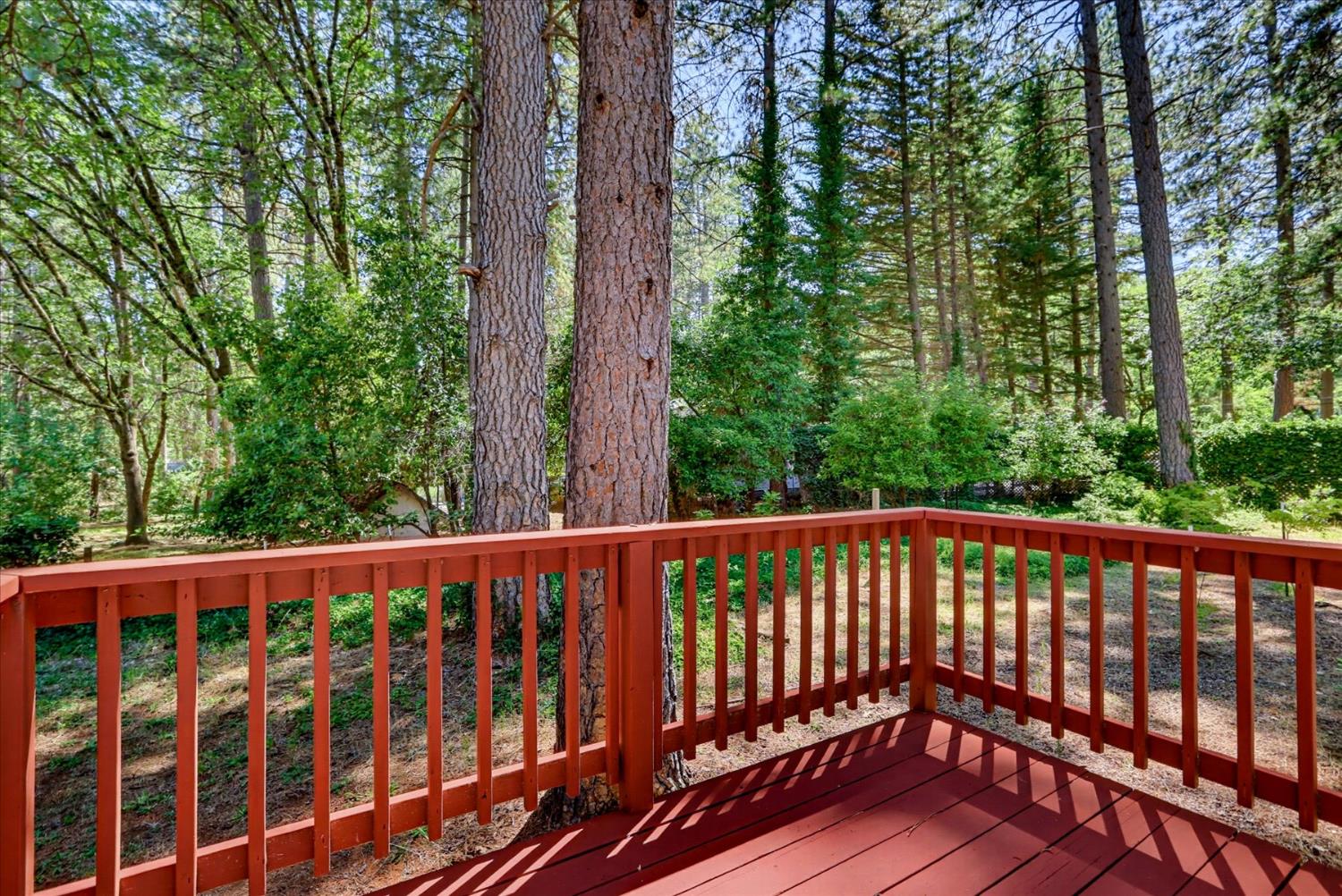 11575 Shockley Road Grass Valley, CA 95945 - Photo 50 of 92
