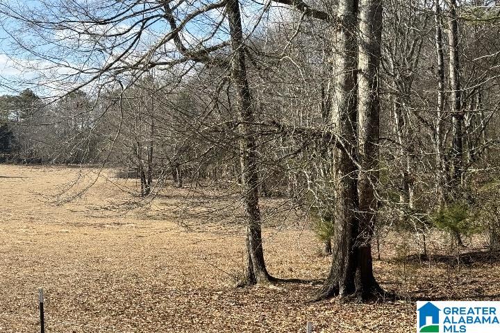 1036 Rushing Springs Road Lincoln, AL 35096 - Photo 57 of 58
