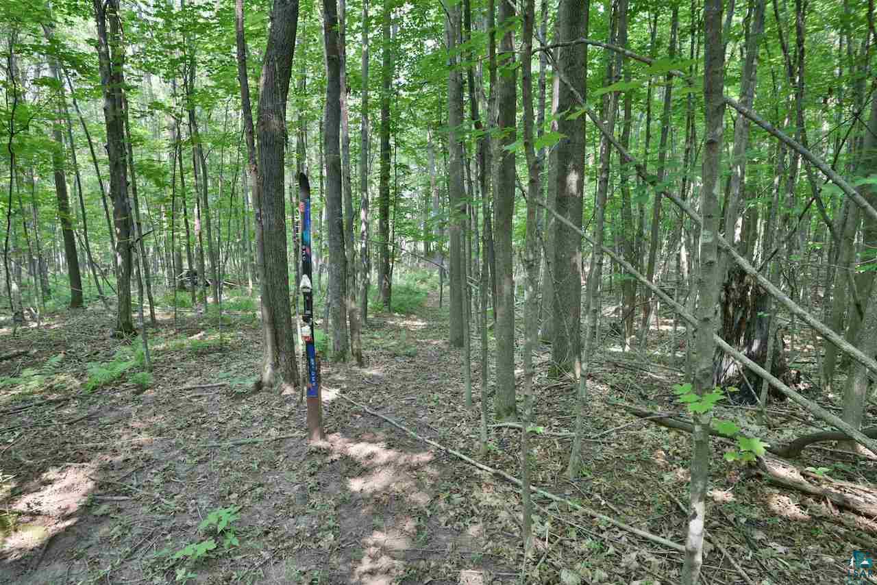 38408 Bass Lake Road High Bridge, WI 54846 - Photo 13 of 26