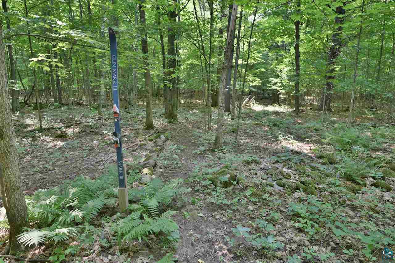 38408 Bass Lake Road High Bridge, WI 54846 - Photo 20 of 26