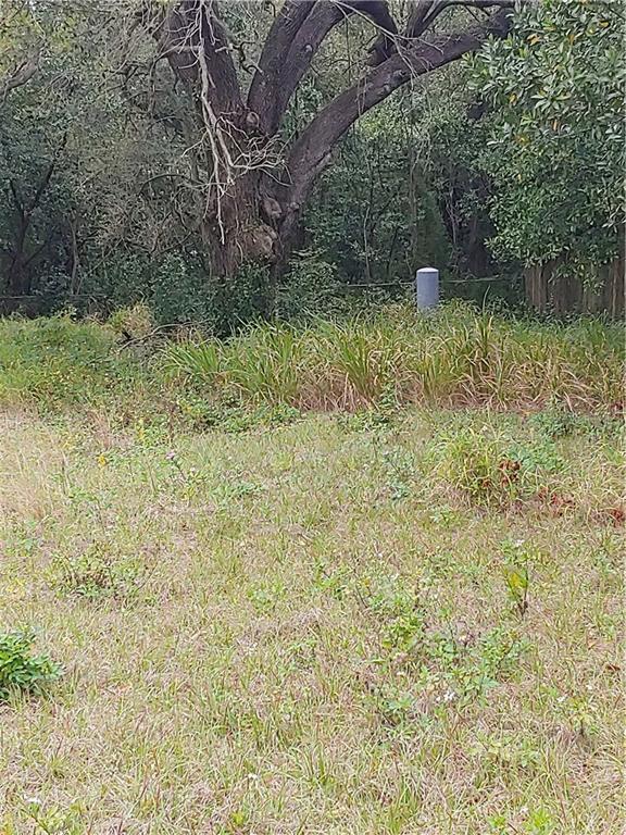 Froden Rd Lake Lake Wales, FL 33859 - Photo 1 of 1 a backyard of a house with lots of green space