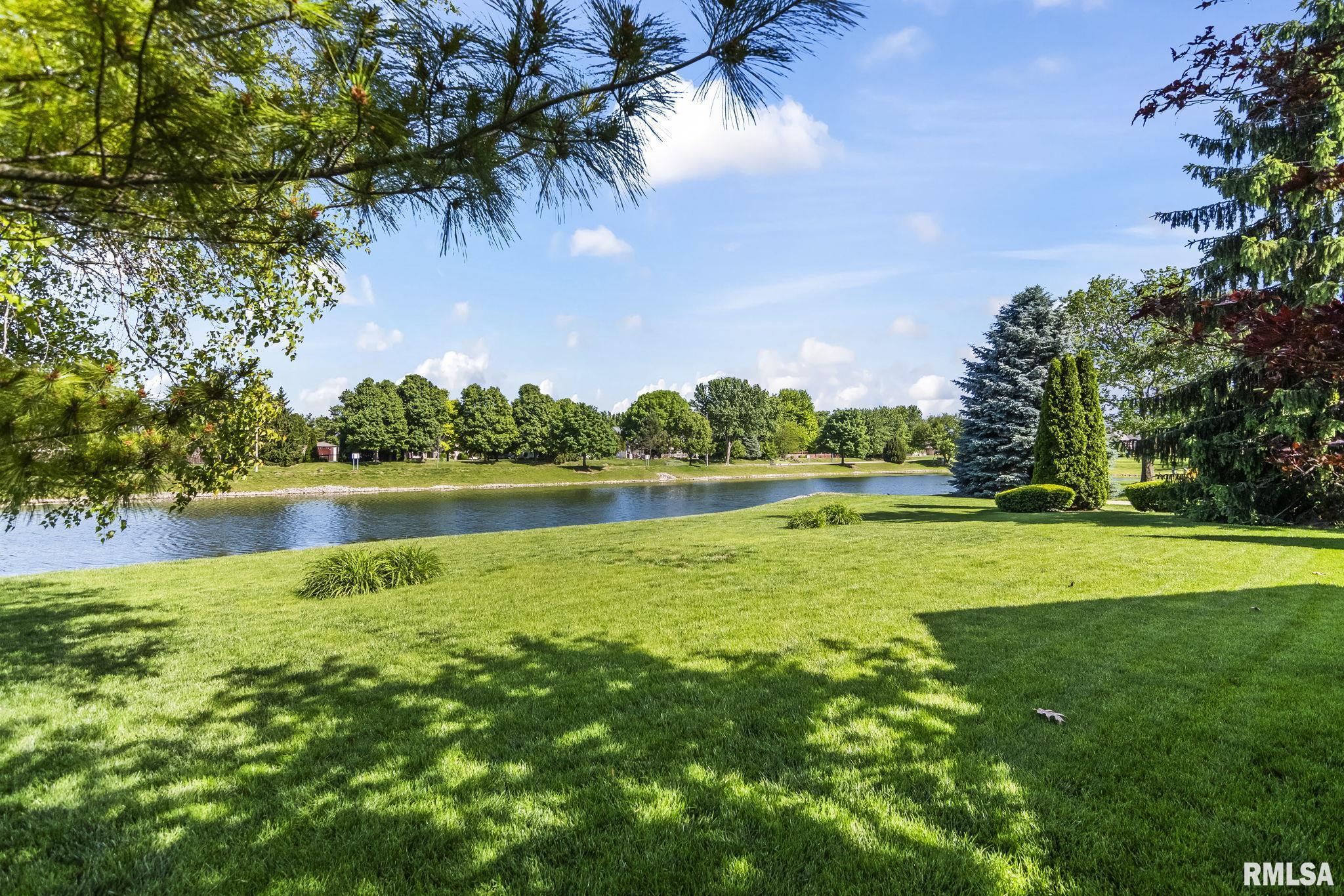 2508 Chicory Drive Springfield, IL 62711 - Photo 40 of 47