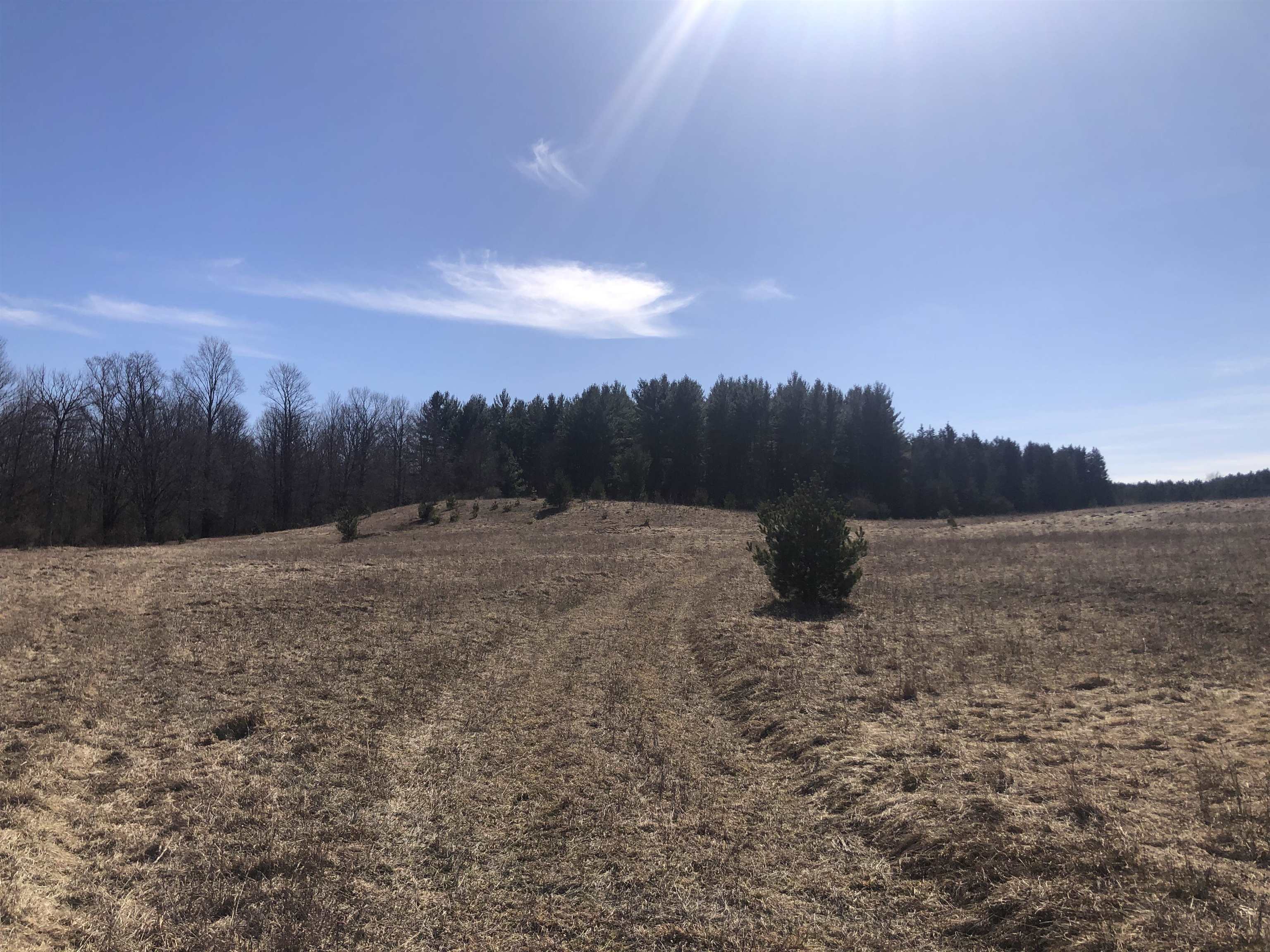 9 South 9 Mile Road Copemish, MI 49625 - Photo 1 of 35